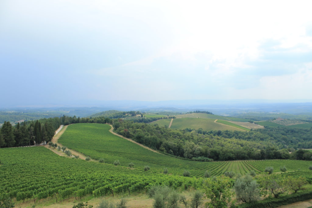 Gaiole in Chianti - Castello di Brolio - Paesaggio