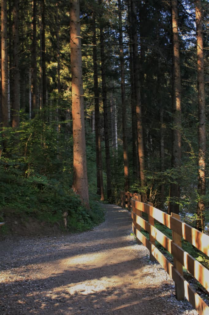 Racines - Cascate di Stanghe