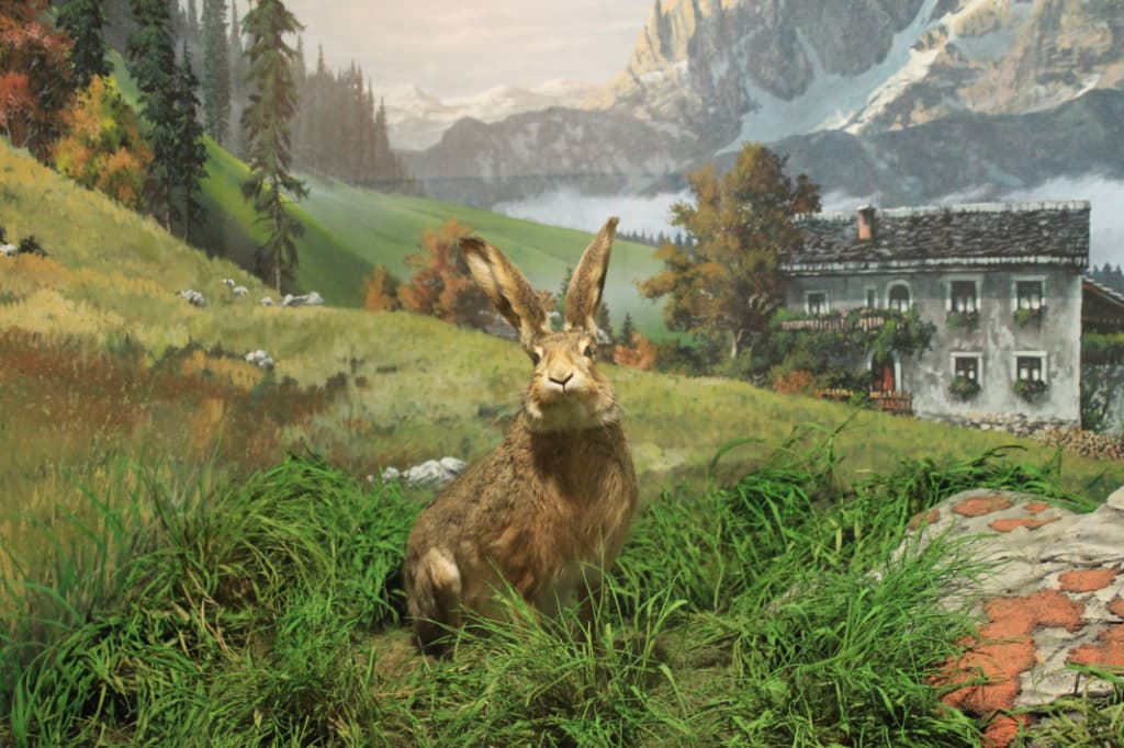 Racines - Castel Wolfsthurn