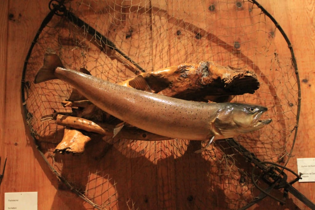 Racines - Castel Wolfsthurn