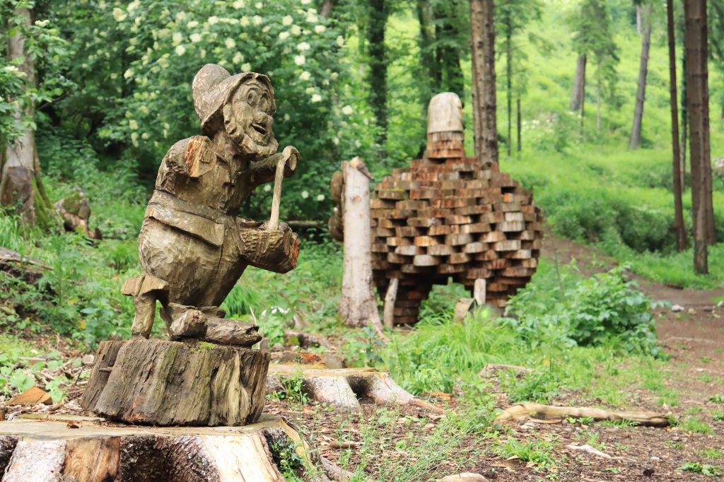 Sentiero Spirito del Bosco