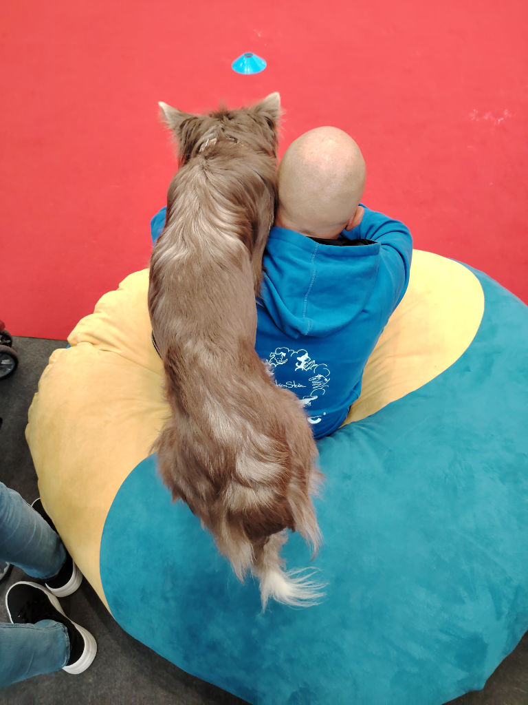 Quattro zampe in fiera