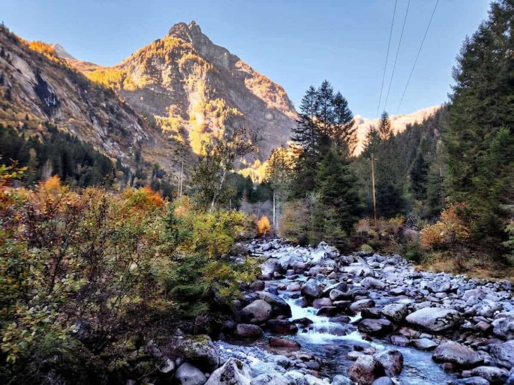 Torrente tra i boschi in autunno con foliage e montagne in Val Masino