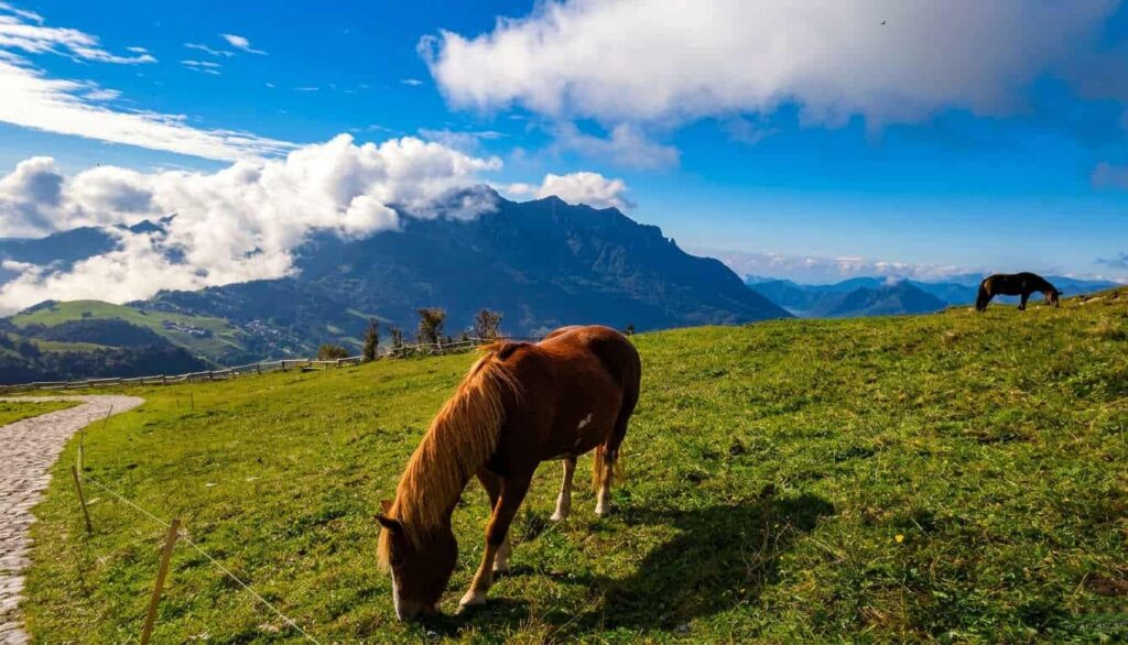 Escursione al Rifugio Capanna 2000 da Zambla Alta con vista sulle Orobie e pascoli